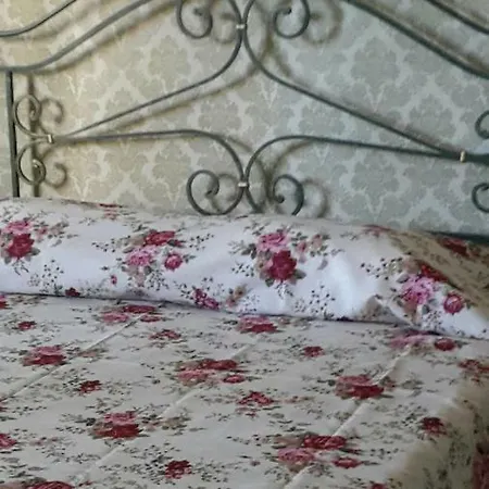 Apartment Elena